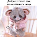 ���� ˸��, ���������� - ��������� 25 ������� 2018 � ������ ������ ��������