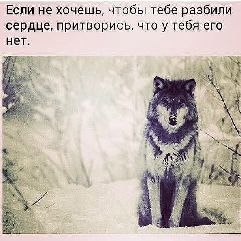 Алёна Волчица - 19 сентября 2018 в 16:28