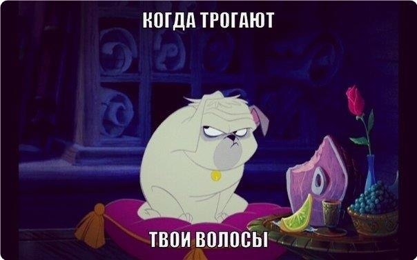 ������� | ���� 2016 | ������ | �������� | ������ - 15 ������ 2018 � 16:48