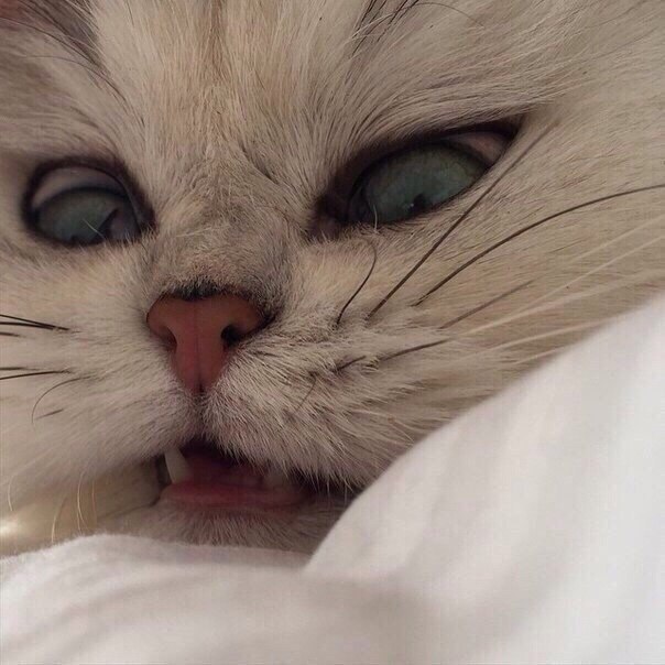  - 3