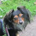 ���� ������, �����-��������� - ��������� 30 ���� 2018