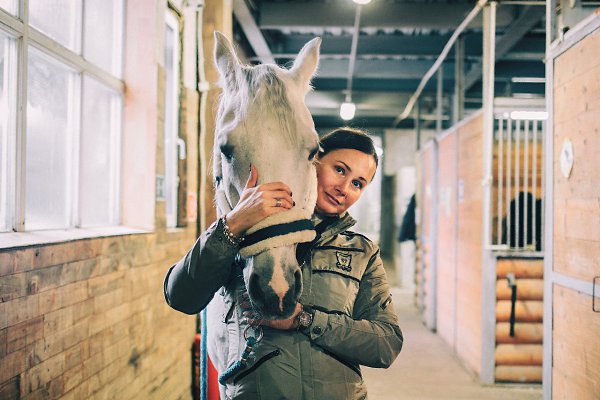 Конная школа прованс. Кск прованс. Кск прованс ясенево. Конный клуб ясенево. Кск прованс идальго.