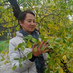 ���� ���������, ������-��-����, 55 ��� - ��������� 8 ������� 2018