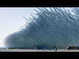 САМЫЕ БОЛЬШИЕ НАШЕСТВИЯ НАСЕКОМЫХ В МИРЕ