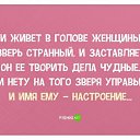 ���� ��������, ������, 55 ��� - ��������� 17 ������� 2018 � ������ ������ ��������