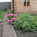 ���� ����� ������, ������� - ��������� 7 �������� 2018 � ������ ���� ����������