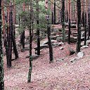  , , 61  -  22  2018    2018