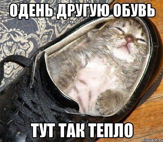 ~