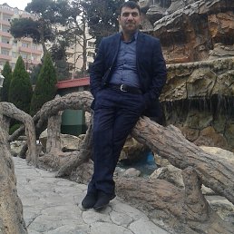 ����, �����, 47 ���