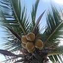 ���� Helg, ������, 63 ���� - ��������� 19 ������� 2019 � ������ ���� ����������