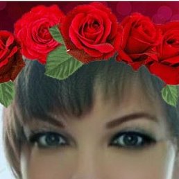 Polosatik, ���������, 52 ����
