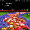 ���� ����, �������������, 51 ��� - ��������� 15 ������� 2018 � ������ ���� ����������