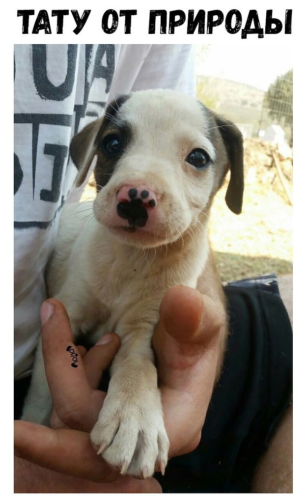    :D - 23  2018  16:21