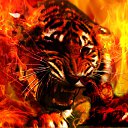 ���� ����, ��������� - ��������� 10 ������ 2018 � ������ ���� ����������