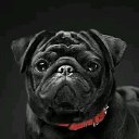 ���� �����, ����, 33 ���� - ��������� 17 ������� 2018