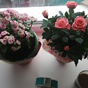 ���� &bull;&hearts;�������&bull;&hearts;, ����� - ��������� 21 ����� 2019 � ������ ���� ����������