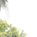 ���� Ara, Los Angeles - ��������� 27 ����� 2019 � ������ ���� ����������