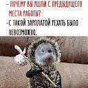 ���� �����, ����������� - ��������� 7 ������� 2019 � ������ ������ ��������