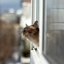 ������� �� ������� ���� ����������