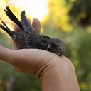 ���� ����, �������, 59 ��� - ��������� 25 ������ 2018 � ������ ������ ��������