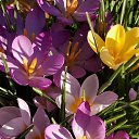 ���� Tanya, ������� - ��������� 7 ����� 2019 � ������ ������ ��������