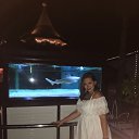 ���� �������, ���������� - ��������� 14 �������� 2018 � ������ ���� ����������
