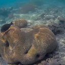 ���� Vladimir, ����-����, 51 ��� - ��������� 29 �������� 2018