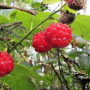 ���� ��������, ��������� - ��������� 5 ������� 2018 � ������ ���� ����������