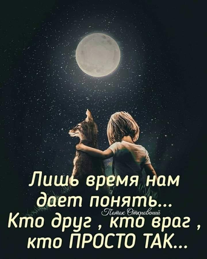  - 15  2019  08:56