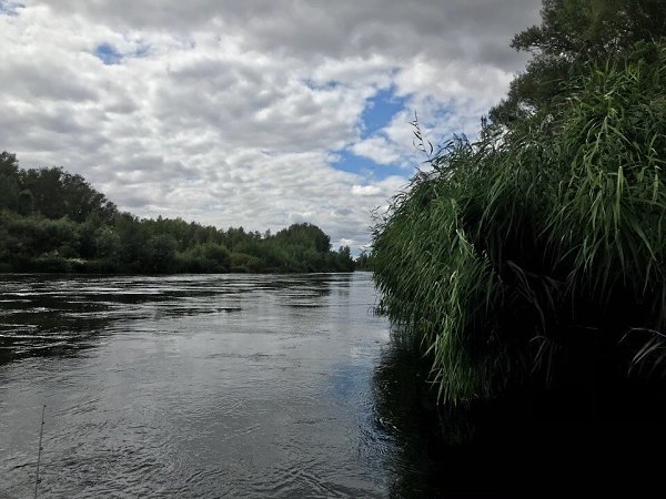 Россия, оренбургская область , река Урал. Автор фото Александр Соболев