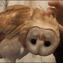 ���� �����-���, ������� ��������, 50 ��� - ��������� 16 ������� 2019 � ������ ���� ����������