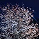 ���� �����, ����������� - ��������� 29 ������ 2019 � ������ ��������