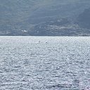 ���� ������, ������������ - ��������� 27 ����� 2019 � ������ ������ ����