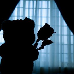 ��������, ������ ��������, 44 ����