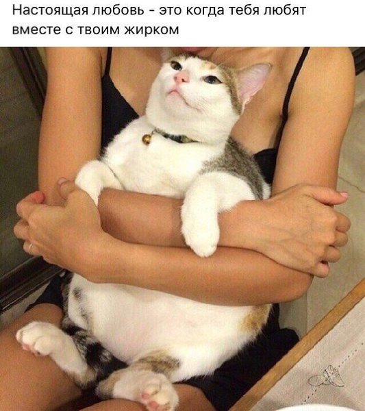    - 29  2018  16:25