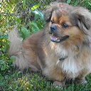   -good, , 43  -  14  2018   