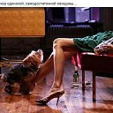 ���� Der Fliegende Holl&auml;nder, ������, 86 ��� - ��������� 20 ������� 2019