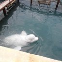 ������-������ �� ������ ����) �� ������� ���� ����������