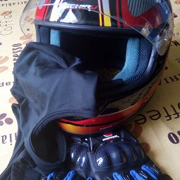 �����, ������, 43 ����