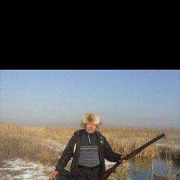 ������, ���������, 45 ���