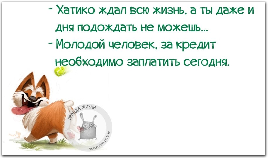 День подожди. Сарказм фразы. Саркастические фразы на все случаи жизни.