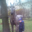 ���� �����, �����-���������, 38 ��� - ��������� 21 ������� 2018 � ������ ������ ��������