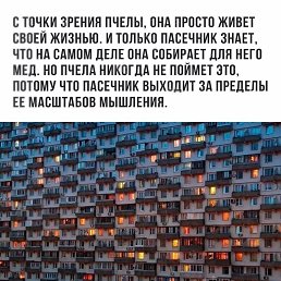 ���� ������, �����-���������, 40 ��� - ��������� 15 ������� 2018