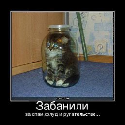 ������, ���, 44 ����