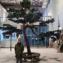 ���� ����������, �������, 35 ��� - ��������� 19 ����� 2019 � ������ ���� ����������