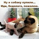 ���� ������, ������������ - ��������� 19 ����� 2019 � ������ ������ ��������