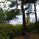  Last, , 62  -  23  2018