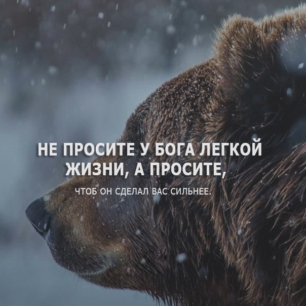 ���� �������� - 14 ������� 2018 � 03:43
