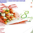 ���� Vijay, ������ - ��������� 7 ����� 2019 � ������ ������ ��������