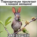 ���� ����, ������, 54 ���� - ��������� 5 ����� 2019 � ������ ���� ����������